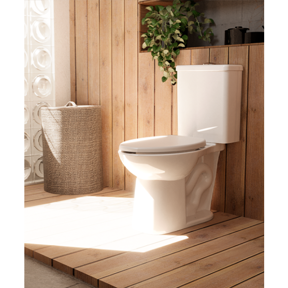 Evolución del inodoro hasta el WC ahorrador de agua