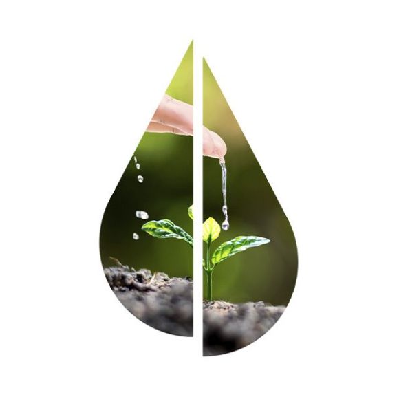 Agua y género: la fuerza femenina detrás de un futuro sostenible 