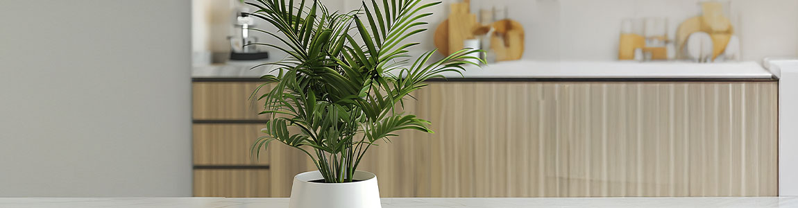 Cocina de diseño biofílico con plantas, madera y elementos naturales